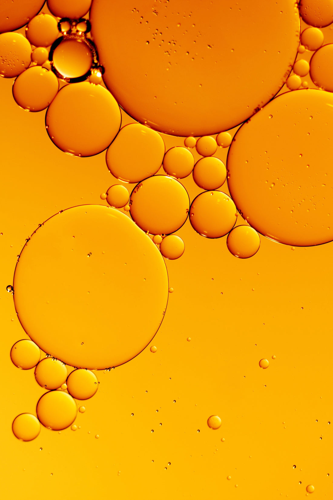 The Glow Factor: Why Vitamin C Is a Skincare Essential